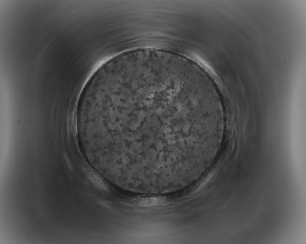 X0000087320891200704201108