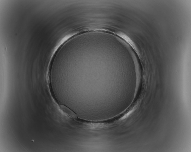 X0000087320893200704201108