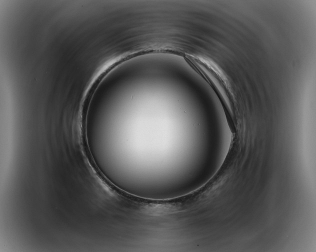 X0000087320894200704201108