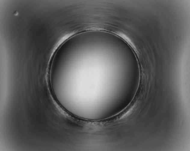 X0000087320901200704201108