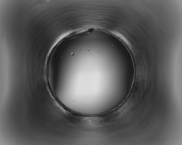 X0000087320902200704201108