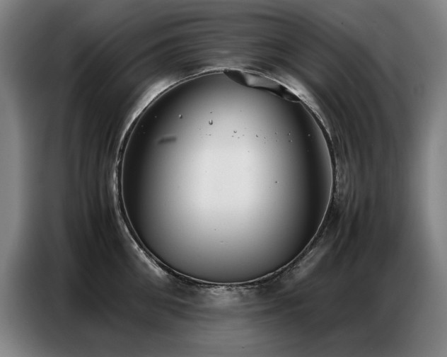 X0000087320906200704201108