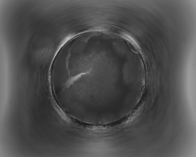 X0000087320907200704201108