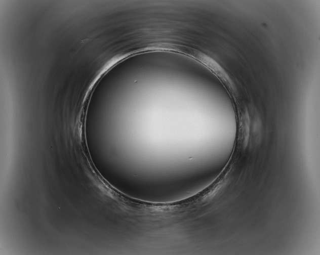 X0000087320908200704201108