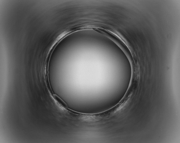 X0000087320909200704201108