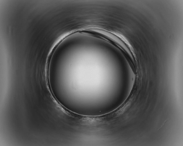 X0000087320910200704201108