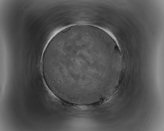 X0000087320911200704201108