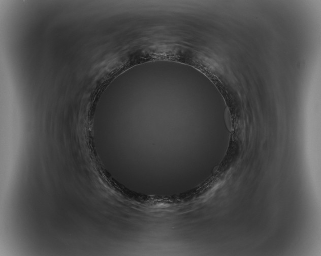 X0000087320913200704201107