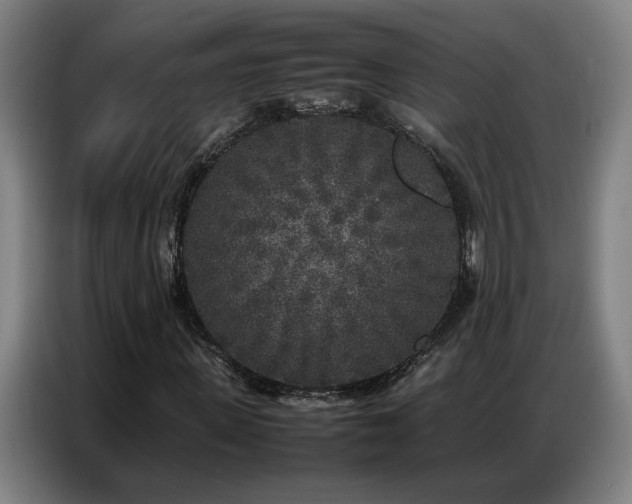 X0000087320915200704201107