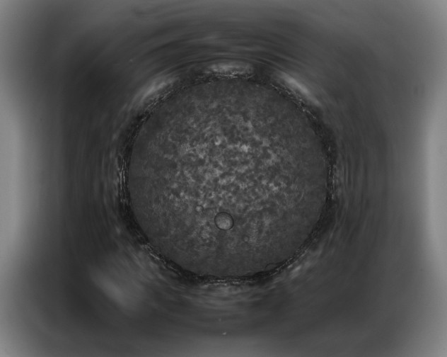 X0000087320917200704201107