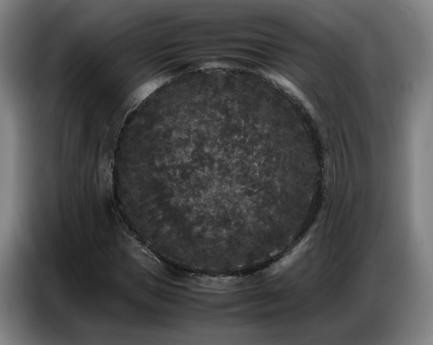 X0000087320921200704201107
