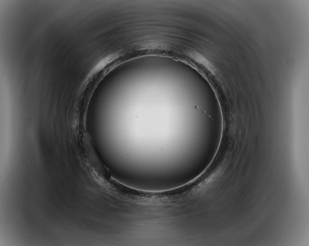 X0000087320922200704201107