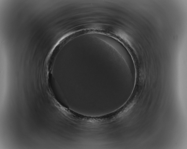 X0000087320923200704201107