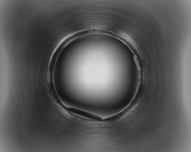 X0000087320924200704201107