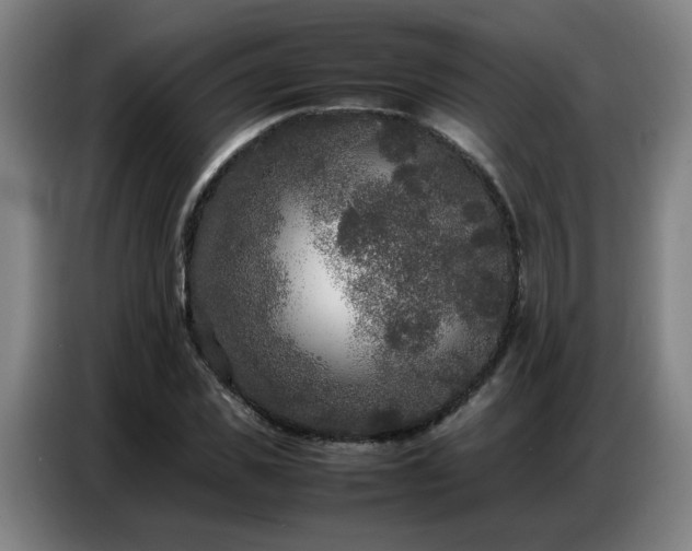 X0000087320925200704201107