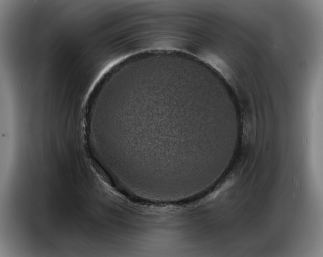 X0000087320926200704201108