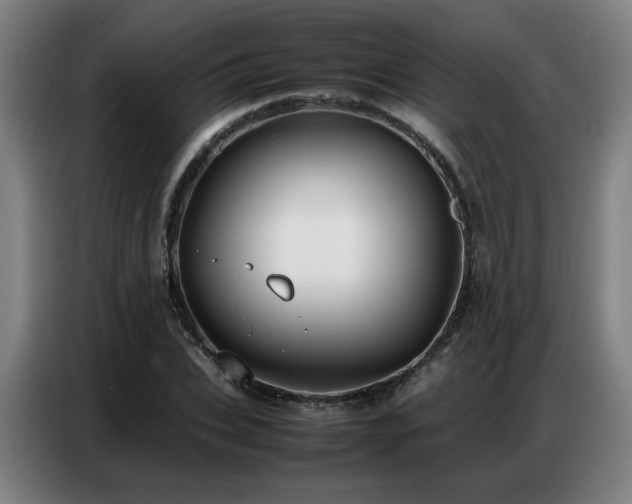 X0000087320927200704201108