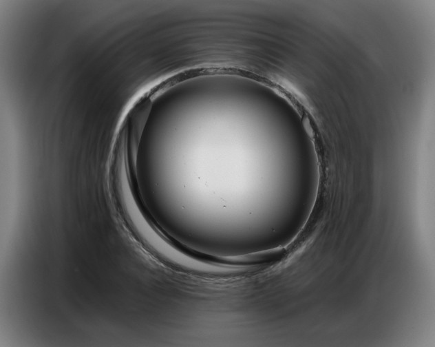 X0000087320928200704201108