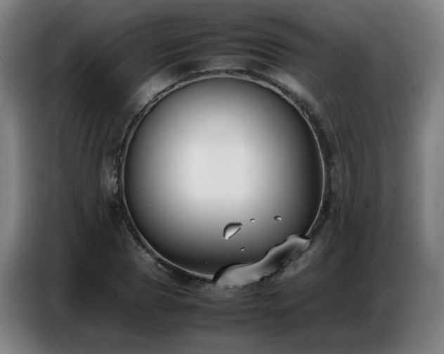 X0000087320929200704201108