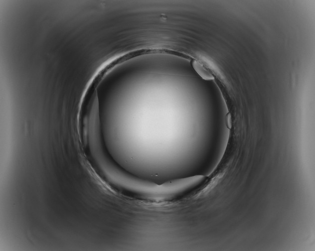 X0000087320932200704201108