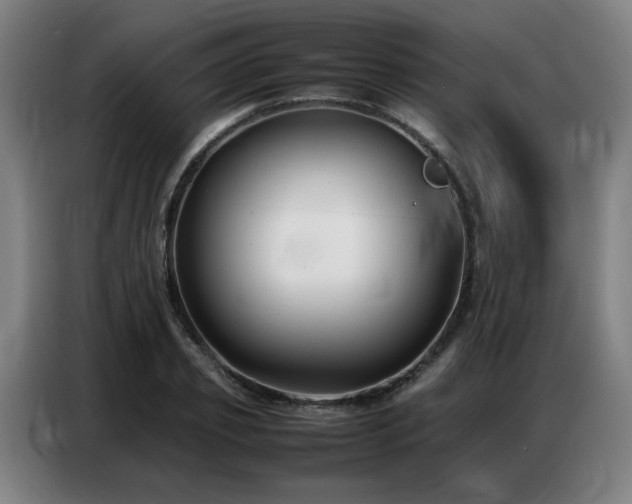X0000087320933200704201108