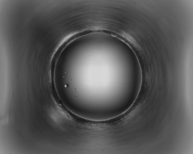 X0000087320934200704201108