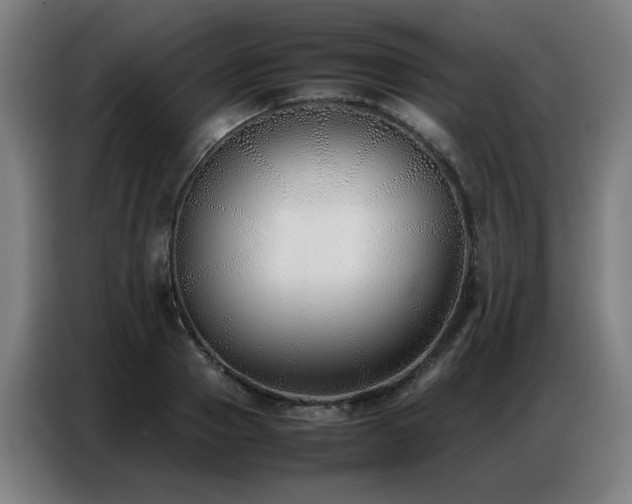 X0000087320937200704201108