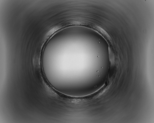 X0000087320938200704201108