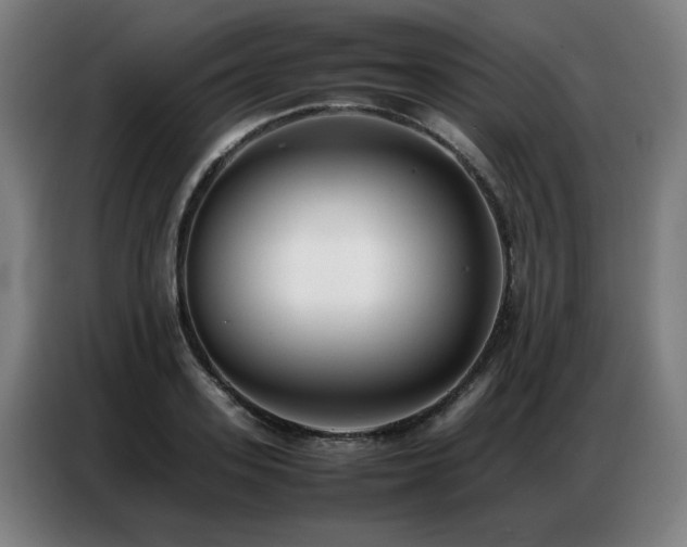 X0000087320939200704201108