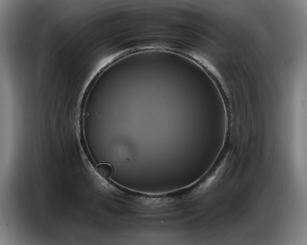 X0000087320941200704201108