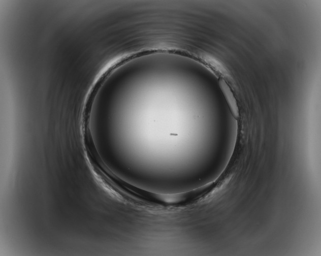 X0000087320942200704201108