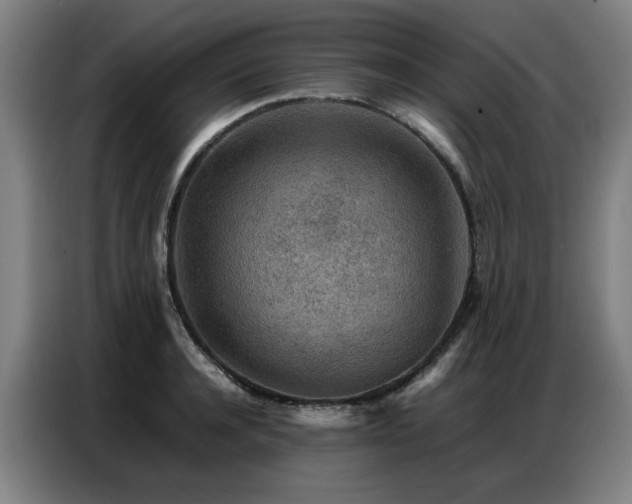 X0000087320944200704201108