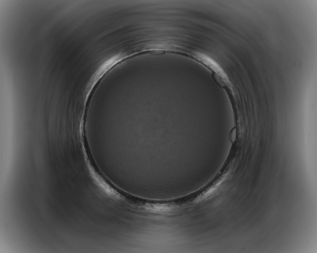 X0000087320946200704201108