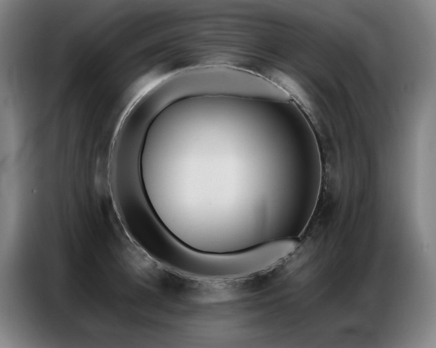 X0000087320948200704201108