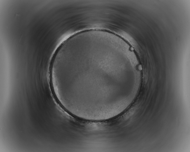 X0000087320950200704201108