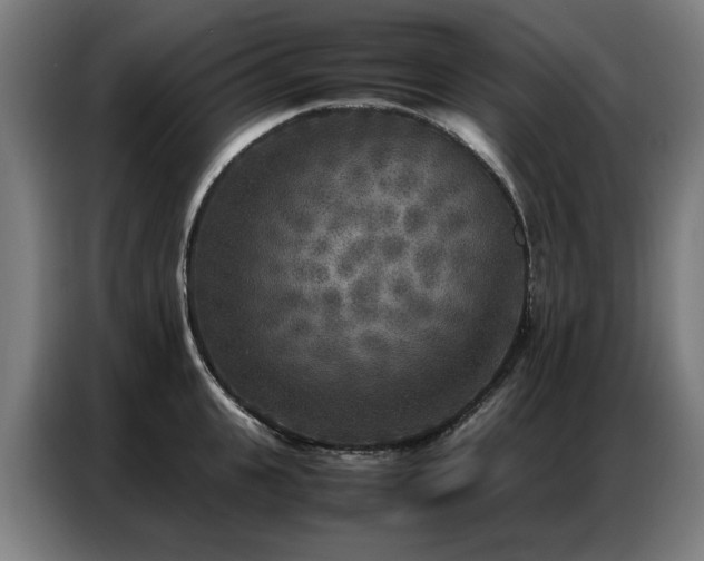 X0000087320951200704201108