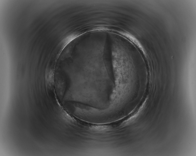 X0000087320953200704201108