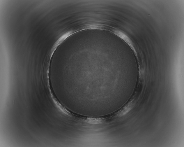 X0000087320954200704201108