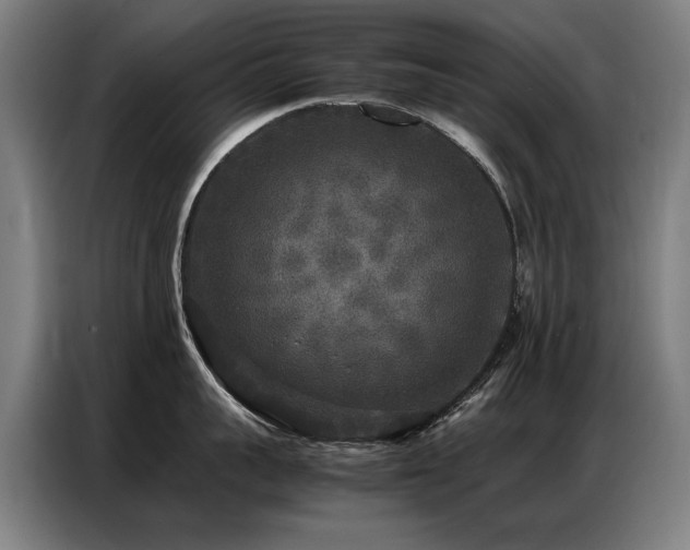 X0000087320959200704201108
