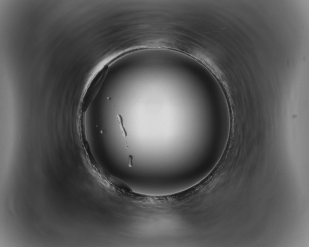 X0000087320960200704201108