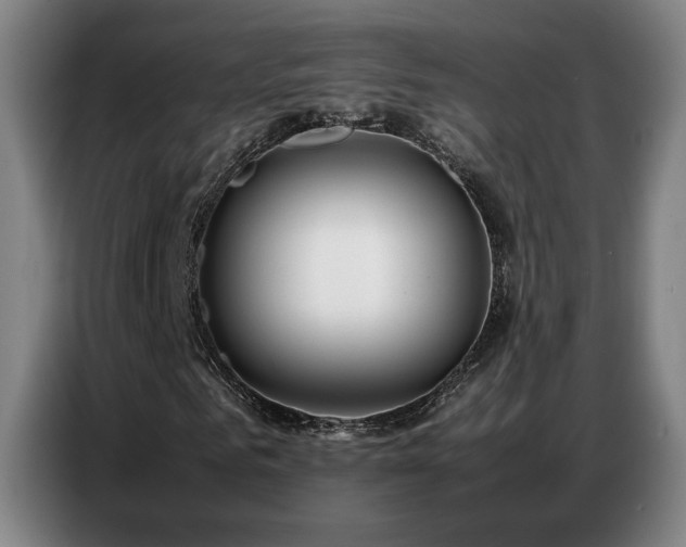 X0000087320961200704201107