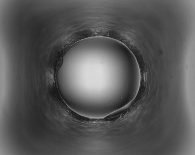 X0000087320963200704201107