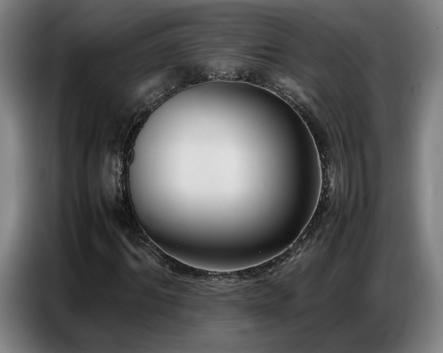 X0000087320964200704201107