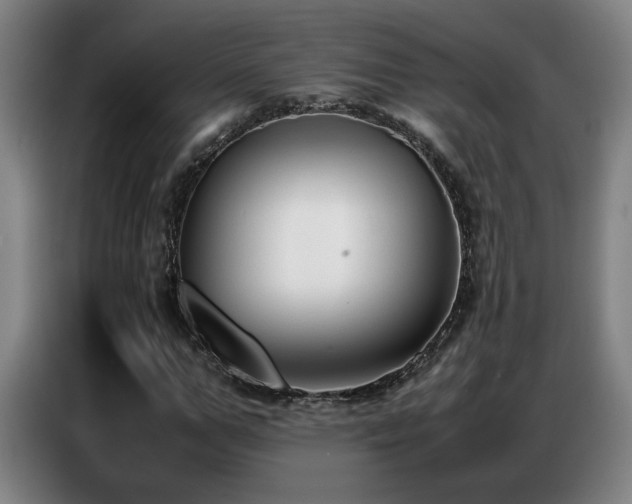 X0000087320967200704201107