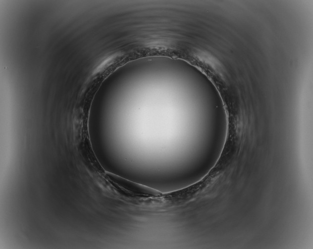 X0000087320968200704201107