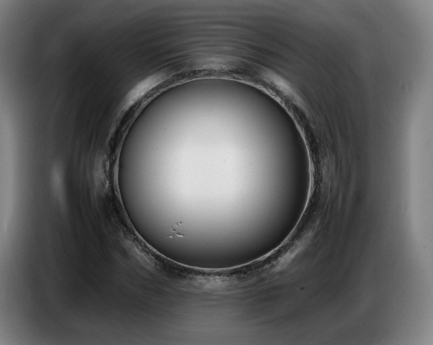 X0000087320970200704201107
