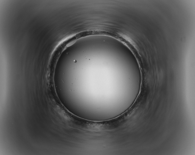 X0000087320971200704201107