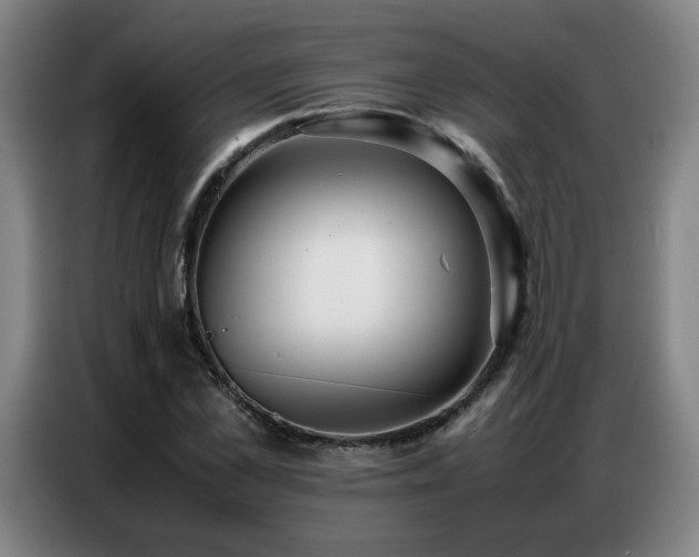 X0000087320973200704201107