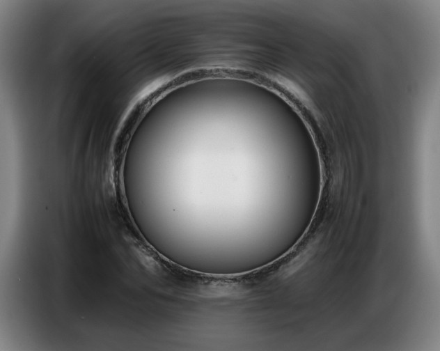 X0000087320974200704201107
