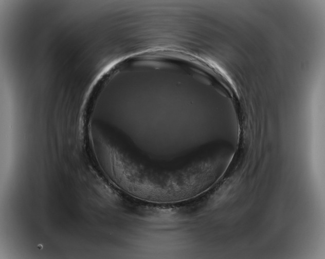 X0000087320975200704201107